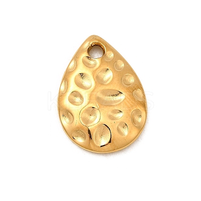 304 Stainless Steel Charms X1-STAS-Z157-15G-1