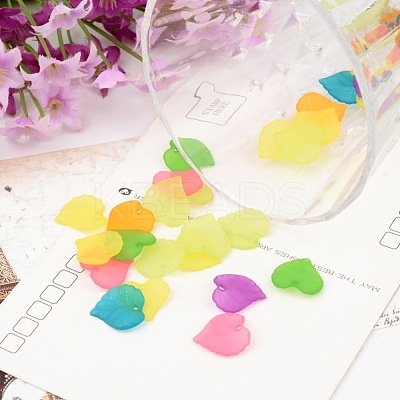 Mixed Transparent Forsted Leaf Acrylic Charms X-PL591-1