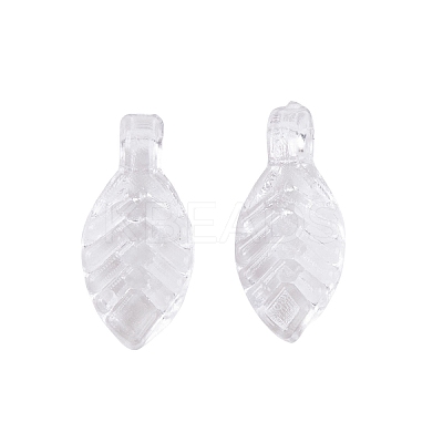 Transparent Acrylic Charms TACR-G050-02A-1