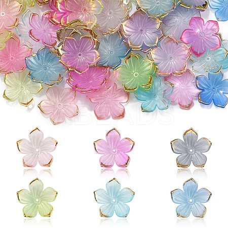 120Pcs 6 Colors Transparent Acrylic Bead Caps TACR-YW0002-44-1