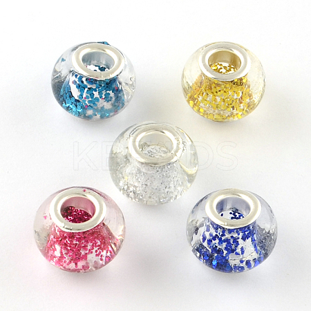 Handmade Lampwork European Large Hole Beads X-LPDL-R007-01-1