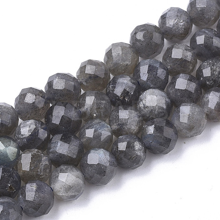 Natural Labradorite Beads Strands G-S345-6mm-005-1