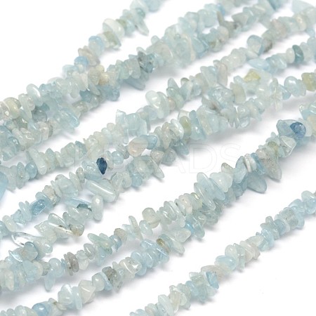 Chips Natural Aquamarine Beads Strands G-N0164-51-1
