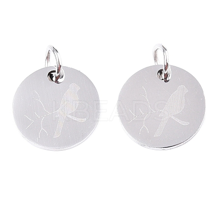 Non-Tarnish 201 Stainless Steel Charms STAS-T049-T674-1-1