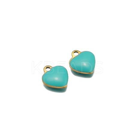 Stainless Steel Charms PW-WG0E535-03-1