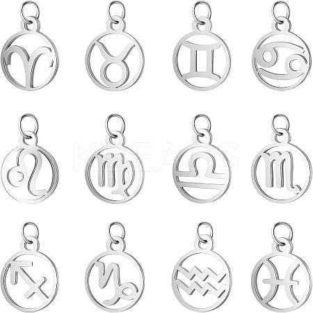 304 Stainless Steel Charms STAS-UN0003-66P-1