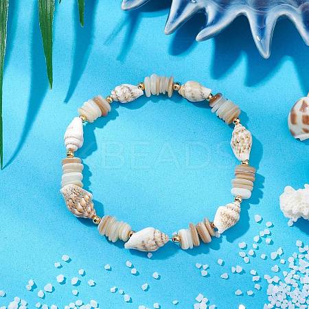 Shell Beaded Stretch Bracelets for Women BJEW-TA00588-1