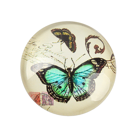 Butterfly Printed Glass Cabochons GGLA-N004-12mm-C01-1