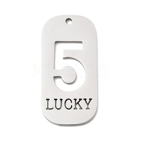 304 Stainless Steel Pendants STAS-D200-02F-P-1