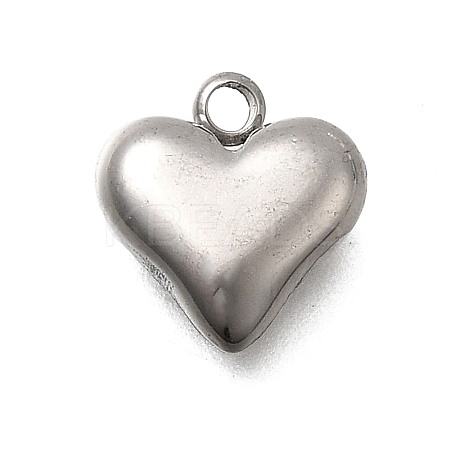 304 Stainless Steel Charms STAS-Z163-03P-1