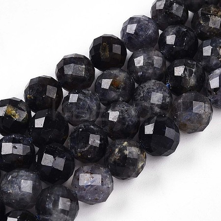 Natural Cordierite/Iolite/Dichroite Beads Strands G-S345-8mm-27-1
