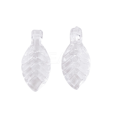 Transparent Acrylic Charms TACR-G050-02A-1
