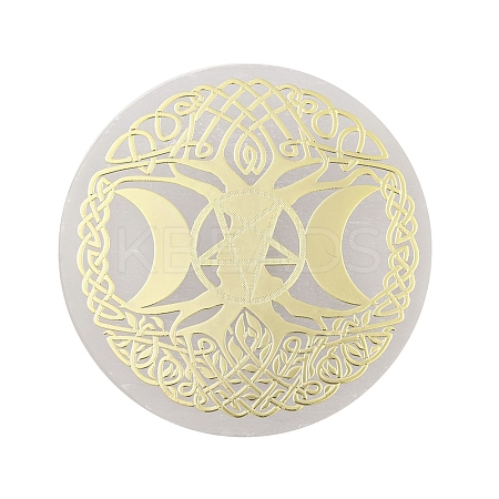 Flat Round Natural Selenite Slice Coasters DJEW-C015-02D-01-1