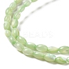 Natural Trochus Shell Beads Strands SHEL-K006-19E-3