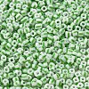 8/0 Opaque Colours Seep Glass Seed Beads SEED-F003-04B-06-3