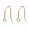 316 Surgical Stainless Steel Earring Hooks X-STAS-P162-13G-B01-1