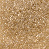 MIYUKI Delica Beads SEED-X0054-DB0101-3