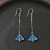 Electroplated 304 Stainless Steel Resin Fan Dangle Earrings EJEW-Z129-11G-03-1