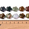 Natural Ocean Jasper/Ocean Agate Beads Strands G-D475-02D-6