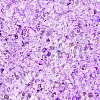 Spray Painted with Glitter Powder Glass Seed Beads SEED-T007-09B-2