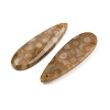 Natural Fossil Coral Pendants G-B187-01C-05-2