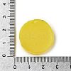 Resin Imitation Fruit Model DJEW-G047-01B-3