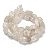 Natural White Moonstone Beads Strands G-P497-01E-69C-3