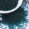 MIYUKI Round Rocailles Beads X-SEED-G007-RR2406-1