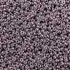 MIYUKI Round Rocailles Beads X-SEED-G009-RR0437-4