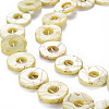 Natural Freshwater Shell Beads Strands SHEL-N026-168C-3