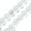 Natural Amazonite Beads Strands G-P520-B10-01-1