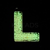 Luminous Resin Pendants X1-RESI-I059-L01-3