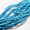 Natural Howlite Round Beads Strands TURQ-L017-3mm-01D-1