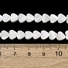 Natural Trochid Shell/Trochus Shell Beads Strands SH-CBA2978-19A-4
