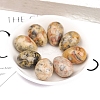 Natural Crazy Agate Egg Figurines Statues for Home Office Desktop Decoration PW-WG1DC51-30-1