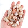 Natural Cherry Blossom Agate Healing Stones PW-WGD7FF2-21-1