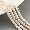 Natural Cultured Freshwater Pearl Beads Strands PEAR-C003-07C-1