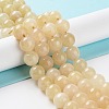 Dyed Natural Malaysia Jade Beads Strands G-G021-02C-11-3