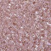MIYUKI Delica Beads LS-X-SEED-J020-DB1243-3