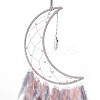 Iron Wire Woven Web/Net with Feather Pendant Decorations AJEW-B017-30-3