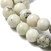 Natural Dendritic Jasper Beads Strands G-H298-A15-03-4