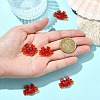 5Pcs Handmade Lampwork Beads LAMP-YW0001-83-5