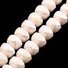AB Color Plate Glass Beads Strands EGLA-P051-02A-B01-1