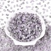 Transparent Spray Painted Glass Seed Beads SEED-L011-10A-20-2