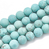 Natural Magnesite Beads Strands G-T106-187-1-1