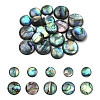 20Pcs 2 Styles Natural Paua Shell Cabochons SHEL-YW0001-09-1