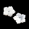 Natural White Shell Carved Beads SSHEL-I026-12E-06-2