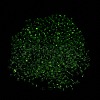 Luminous Glass Seed Beads X1-SEED-A033-07K-5