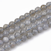 Natural Labradorite Beads Strands X-G-T064-70B-1