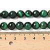 Grade B Natural Tiger Eye Beads Strands X-G-F591-18-8mm-04-5
